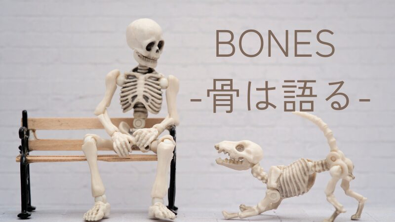 BONES骨は語る