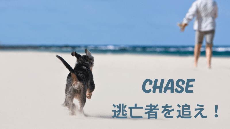 CHASE／逃亡者を追え！