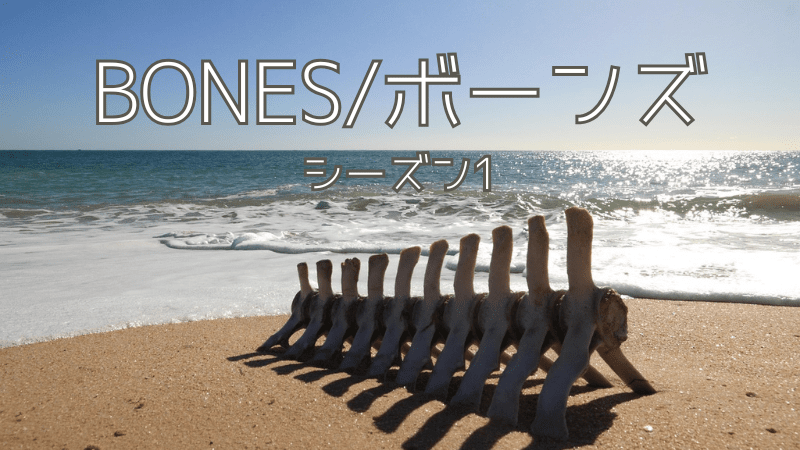 BONES-骨は語る-シーズン1